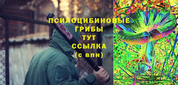стафф Горно-Алтайск