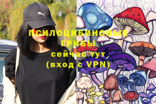 стафф Горно-Алтайск