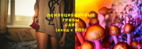 дмт Горняк