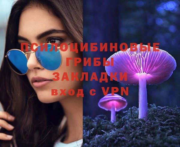 дмт Горняк