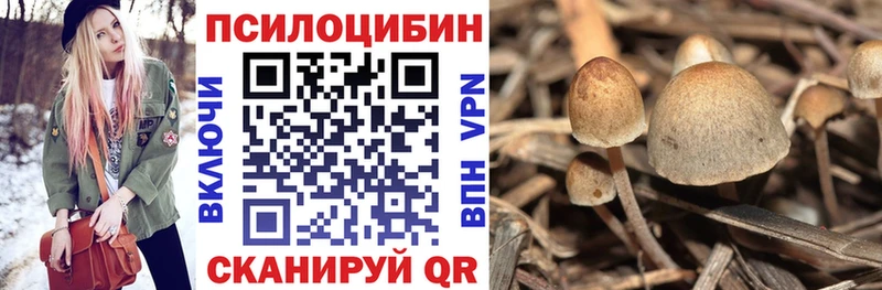 blacksprut маркетплейс  Брянск  Псилоцибиновые грибы мухоморы  цены  